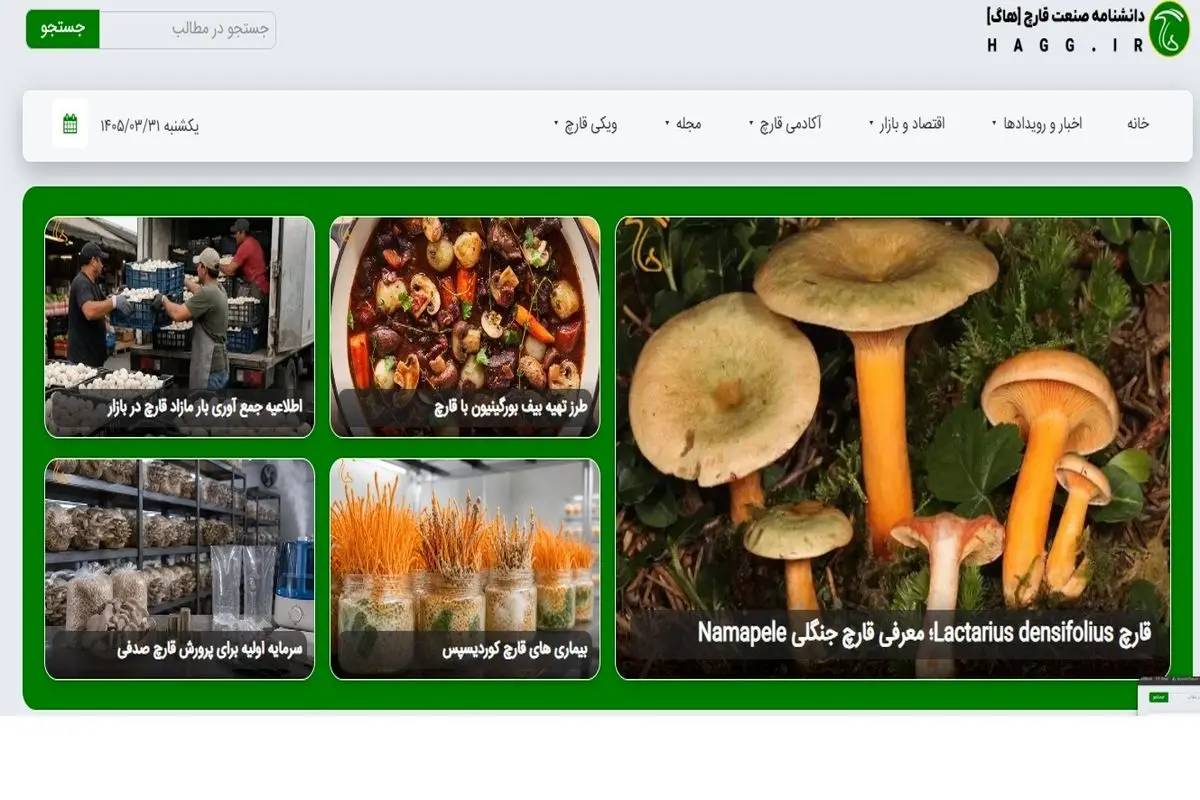 هاگ؛ مرجع فارسی‌زبان قارچ که کمبودش حس می‌شد