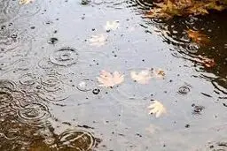 آسمان بارانی اغلب استان‌ها/ تداوم بارش‌ها تا دوشنبه

