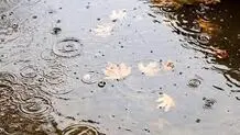 آسمان بارانی اغلب استان‌ها/ تداوم بارش‌ها تا دوشنبه

