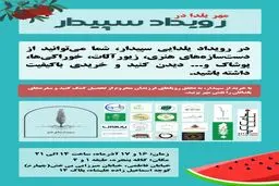 روایت ما و جایی که ایستادیم

