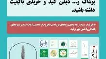 روایت ما و جایی که ایستادیم

