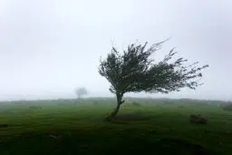 پیش بینی هوای چهارمحال و بختیاری فردا جمعه ۱۵ خرداد ۱۴۰۵/ افزایش وزش باد و کاهش کیفیت هوا