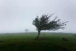 پیش بینی هوای چهارمحال و بختیاری فردا جمعه ۱۵ خرداد ۱۴۰۵/ افزایش وزش باد و کاهش کیفیت هوا