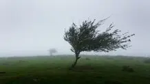 پیش بینی هوای چهارمحال و بختیاری فردا جمعه ۱۵ خرداد ۱۴۰۵/ افزایش وزش باد و کاهش کیفیت هوا