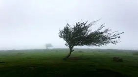 پیش بینی هوای چهارمحال و بختیاری فردا جمعه ۱۵ خرداد ۱۴۰۵/ افزایش وزش باد و کاهش کیفیت هوا