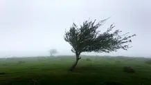 پیش بینی هوای چهارمحال و بختیاری فردا جمعه ۱۵ خرداد ۱۴۰۵/ افزایش وزش باد و کاهش کیفیت هوا