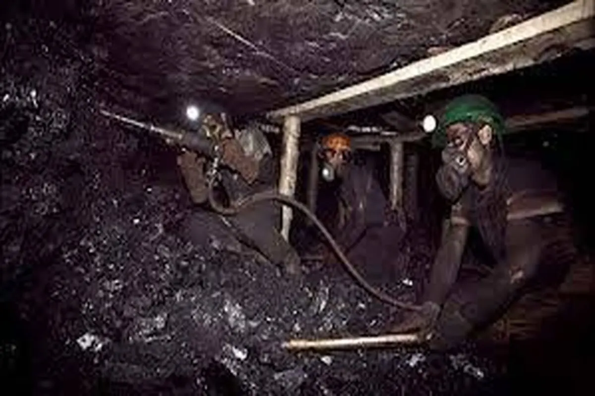 جان‌باختگان معدن طبس  قربانیان نظام ناکارآمد بودند
