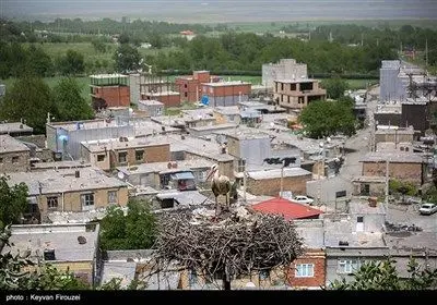 ساکنان روستا با ساخت آشیانه‌های ایمن روی درختان بلوط از لک‌لک‌ها حمایت می‌کنند تا از مرگ‌ومیر پرندگان به دلیل برق‌گرفتگی یا افتادن جوجه‌ها جلوگیری شود که نشان‌دهنده تعهد فرهنگی و زیست‌محیطی آن‌هاست.