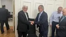 دیدار مسعود پزشکیان با محمدرضا عارف