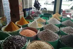 صادرات حبوبات ممنوع شد
