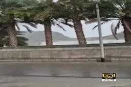 بارش باران و جاری شدن سیلاب در جنوب سیستان و بلوچستان