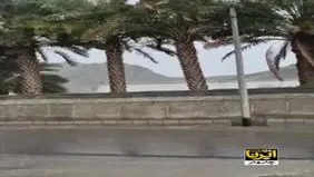 بارش باران و جاری شدن سیلاب در جنوب سیستان و بلوچستان