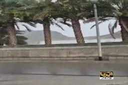 بارش باران و جاری شدن سیلاب در جنوب سیستان و بلوچستان