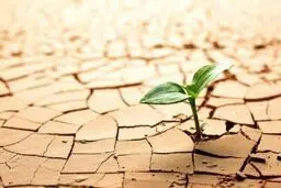 تاکنون سال آبی بسیار بدی داشته‌ایم

