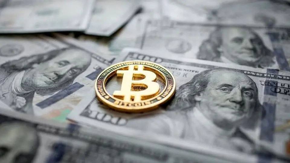 دام بیتکوین برای سرمایهگذاران خرد