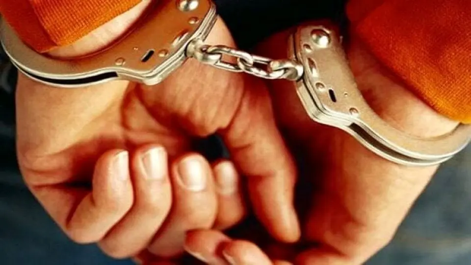 پلیس: ۶۳ متهم اخلالگر ارزی در پایتخت دستگیر شدند