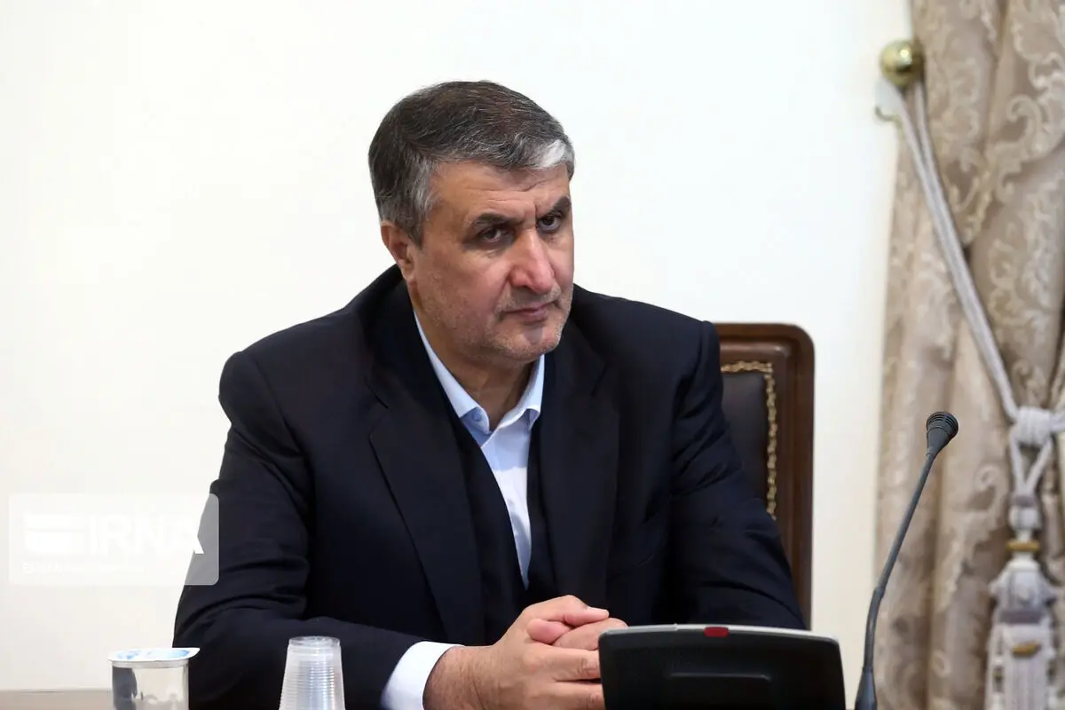  آمریکا از سفر محمد اسلامی به وین جلوگیری کرد 