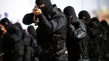 دستگیری ۲ شرور متواری در شهر ری