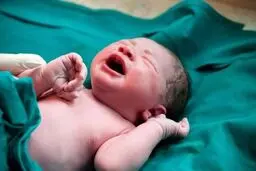 ۶۶ نوزاد سنندجی در ایام جنگ متولد شدند
