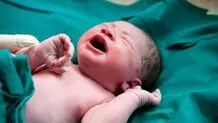 ۶۶ نوزاد سنندجی در ایام جنگ متولد شدند