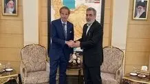 IAEA chief arrives in Iran for consultations