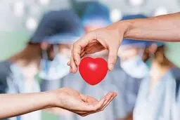 یازدهمین اهدای عضو سال جاری در یزد به ثبت رسید