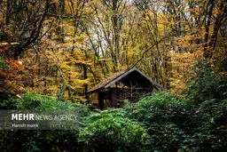 تصاویر چشم نواز از پاییز دیرهنگام النگ دره گرگان