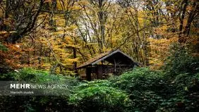 تصاویر چشم نواز از پاییز دیرهنگام النگ دره گرگان