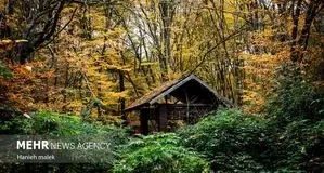 تصاویر چشم نواز از پاییز دیرهنگام النگ دره گرگان