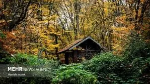 تصاویر چشم نواز از پاییز دیرهنگام النگ دره گرگان