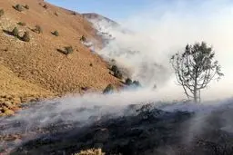آتش سوزی در چالوس ادامه دارد