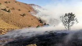 آتش سوزی در چالوس ادامه دارد