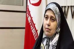 طرح حمایت از زنان در اولویت برنامه مجلس فعلی نیست