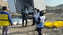 محیط‌ زیست هرمزگان: محموله ۴ میلیاردی «زبان گاو» امحا شد
