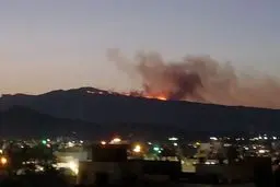 گرمای شدید هوا عامل آتش‌سوزی در کوه گرم جهرم 
