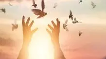 اجاره سند برای زندانی در کمترین زمان ممکن