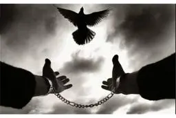 یک قدم تا آزادی