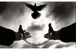 یک قدم تا آزادی