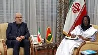 Iran ready to build oil refinery in Burkina Faso: oil min.