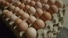 فایده مصرف روزانه یک عدد تخم مرغ
