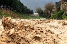 سیلاب و آبگرفتگی بی‌سابقه در مرودشت/ ۴ کودک جان باختند