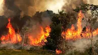 نگرانی از افزایش  آتش‌سوزی جنگل‌های ایران