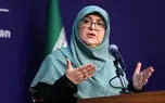 سخنگوی دولت: تعامل رئیس‌جمهور با رهبری،  محدود به یک دیدار خاص نیست