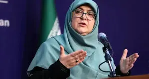 سخنگوی دولت: تعامل رئیس‌جمهور با رهبری،  محدود به یک دیدار خاص نیست