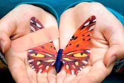 زخم‌های حلما زخم بی‌پناهی‌اند...

