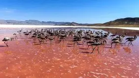 وضعیت اسفناک دریاچه بختگان + عکس