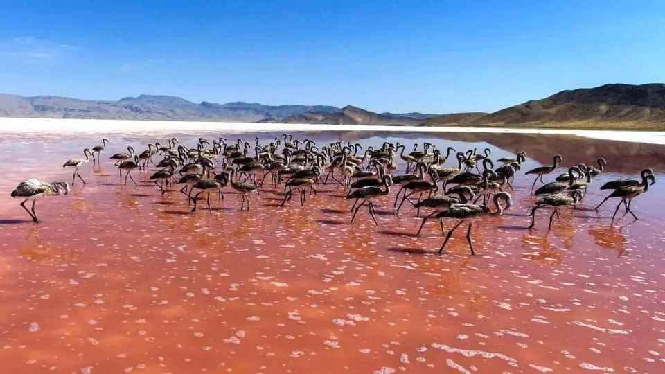 وضعیت اسفناک دریاچه بختگان + عکس