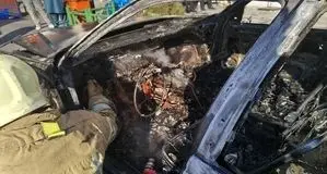 آتش سوزی ناگهانی پژو پرشیا در میدان آزادی