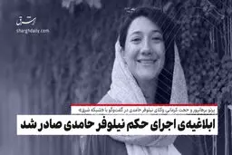 ابلاغیه اجرای حکم پرونده نیلوفر حامدی علیرغم بخشنامه عفو ۱۴۰۱ صادر شده / انتظار داریم با پیگیری‌های قوه‌ قضائیه و دولت اجرای حکم متوقف شود / دلیل سختگیری و عدم شمول عفو نسبت به موکل ما مشخص نیست

