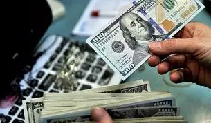 دلار در مسیر نزولی؟ / تحلیل یک کارشناس از بازار ارز
